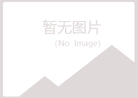 历城区紫山能源有限公司